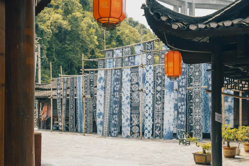 The Teenage Girl Who Saved a Colony — and Accidentally Colored Your Wardrobe Forever